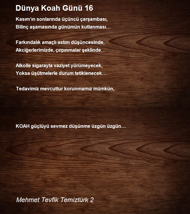 Mehmet Tevfik Temiztürk 2