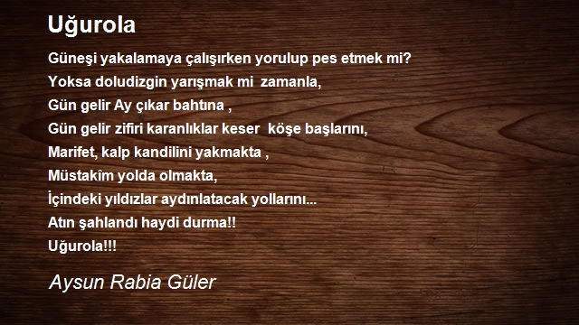Aysun Rabia Güler