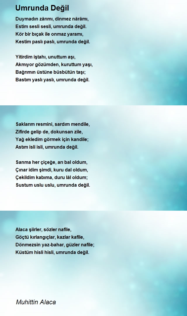 Muhittin Alaca