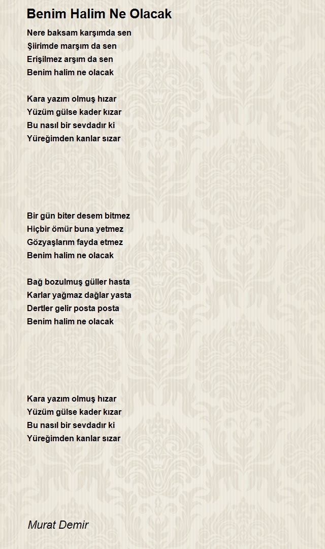 Murat Demir