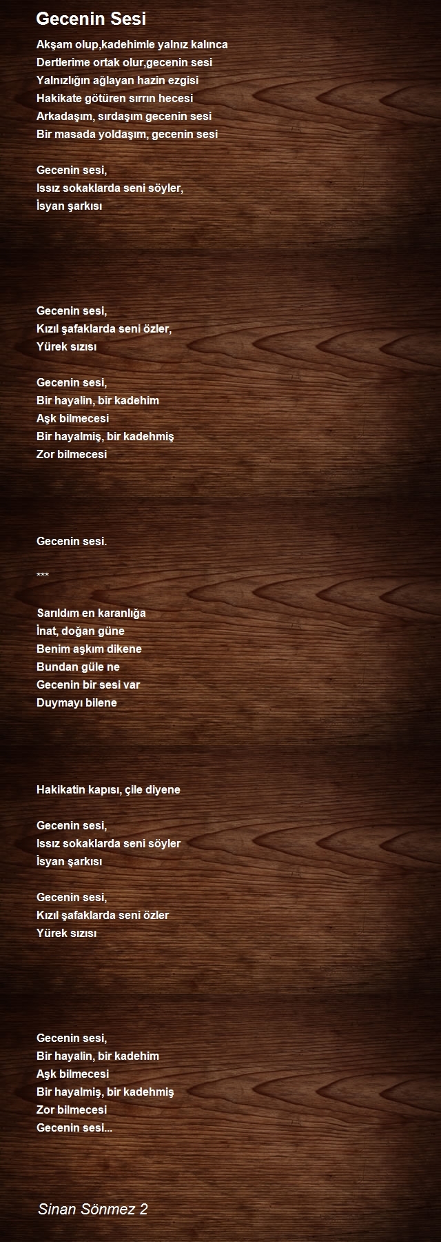 Sinan Sönmez 2