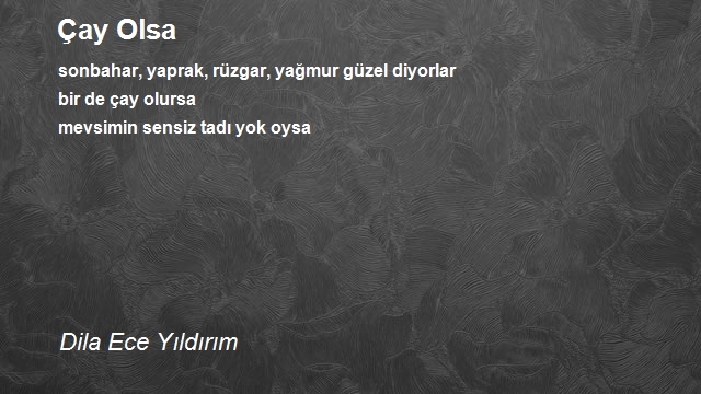 Aşk Aşkın Şehri Ordu