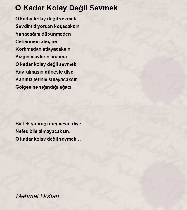 Mehmet Doğan