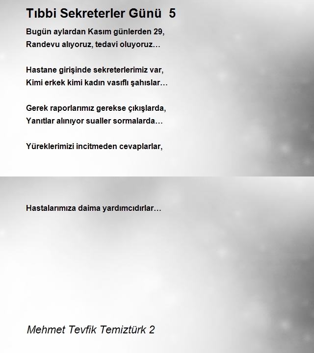 Mehmet Tevfik Temiztürk 2