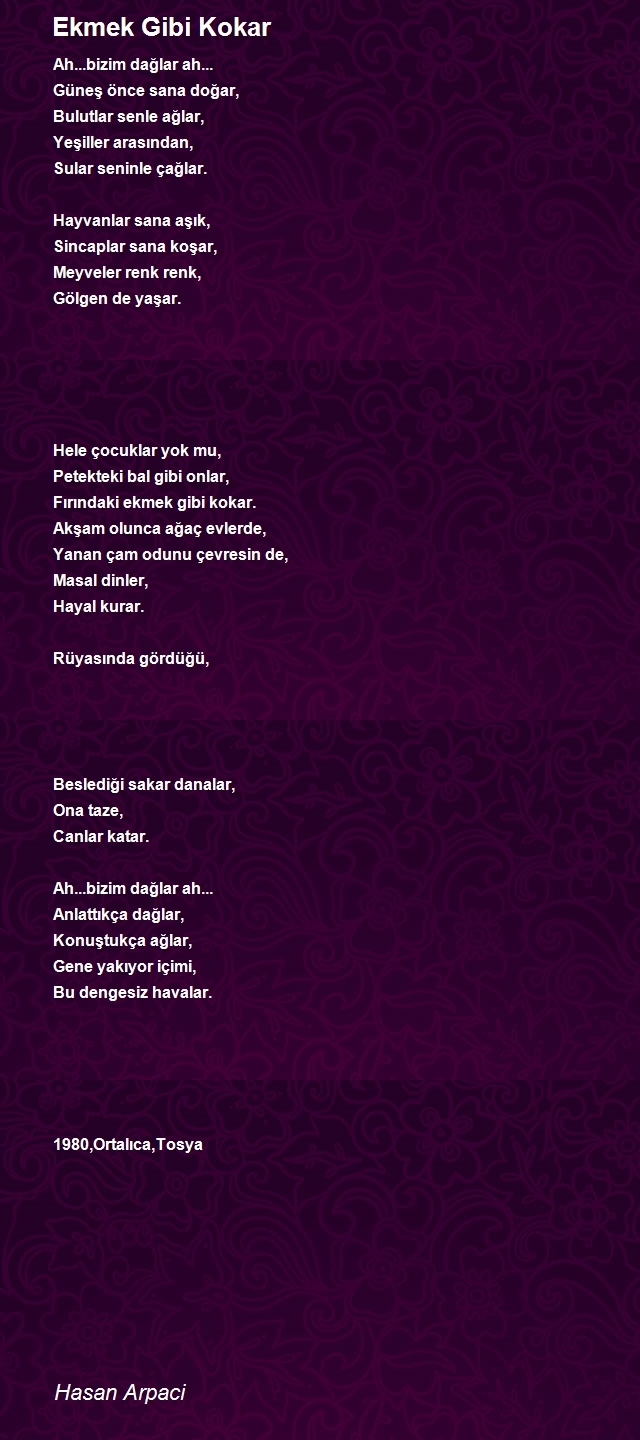 Hasan Arpaci