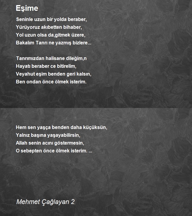 Mehmet Çağlayan 2