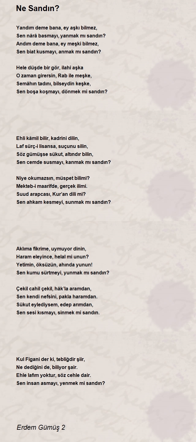 Erdem Gümüş 2