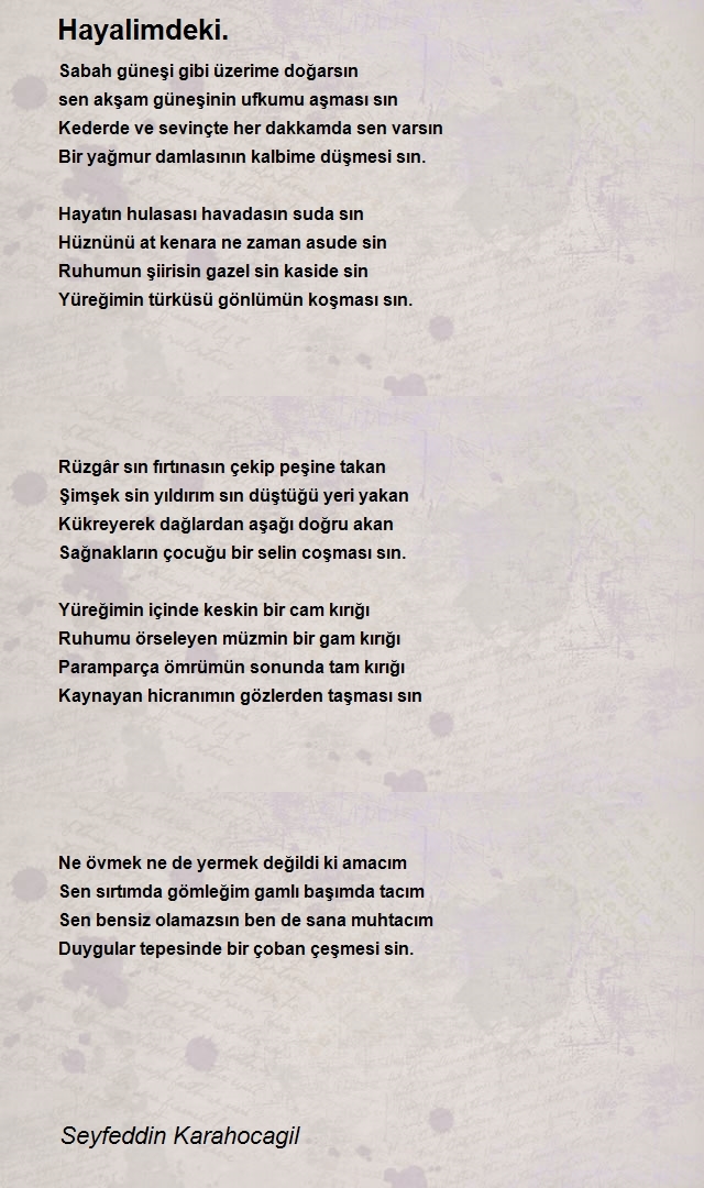 Seyfeddin Karahocagil