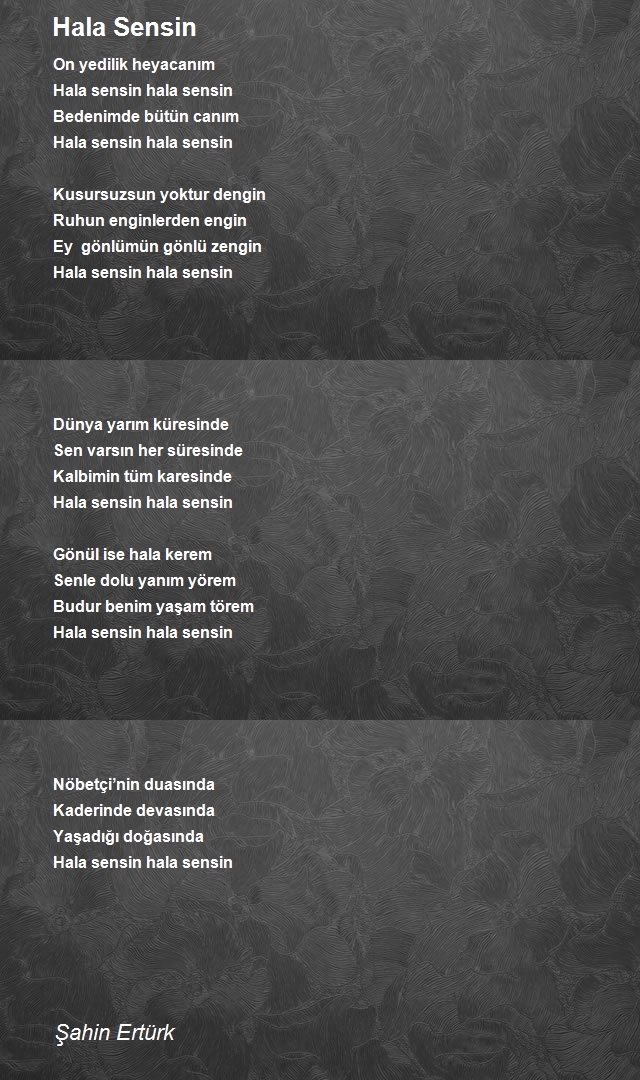 Şahin Ertürk