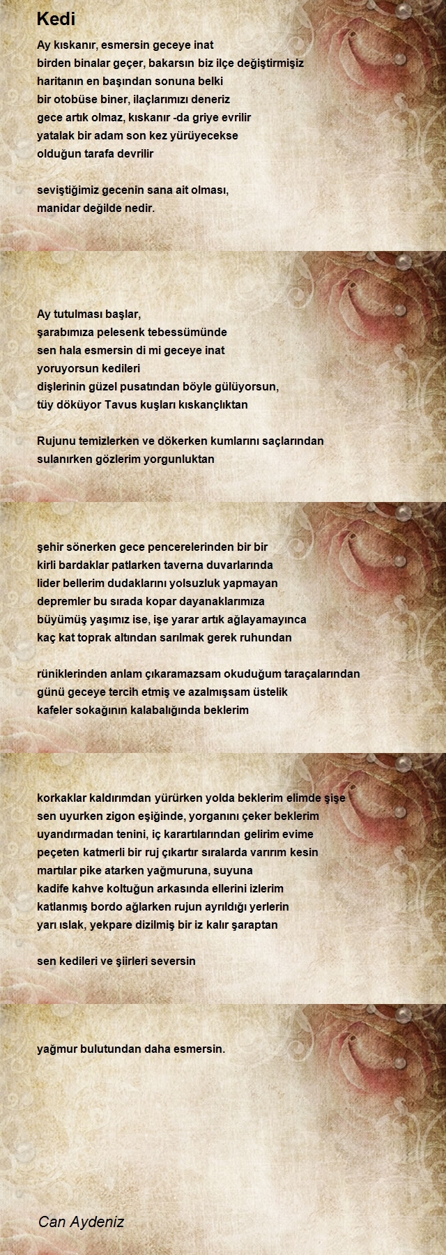 Can Aydeniz