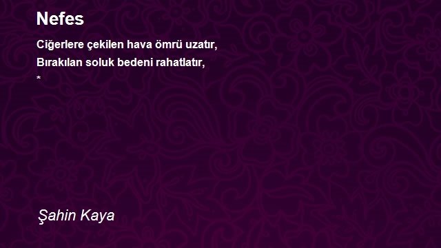 Şahin Kaya