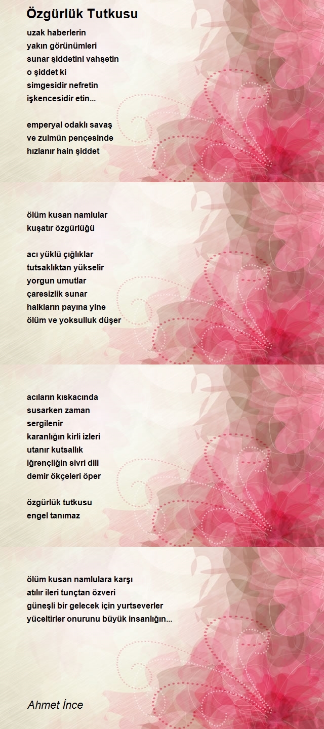 Ahmet İnce