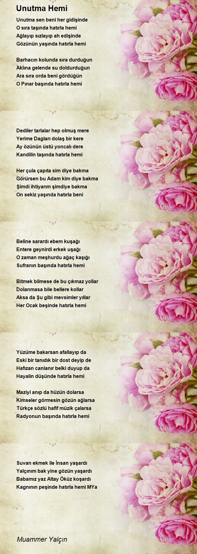 Muammer Yalçın