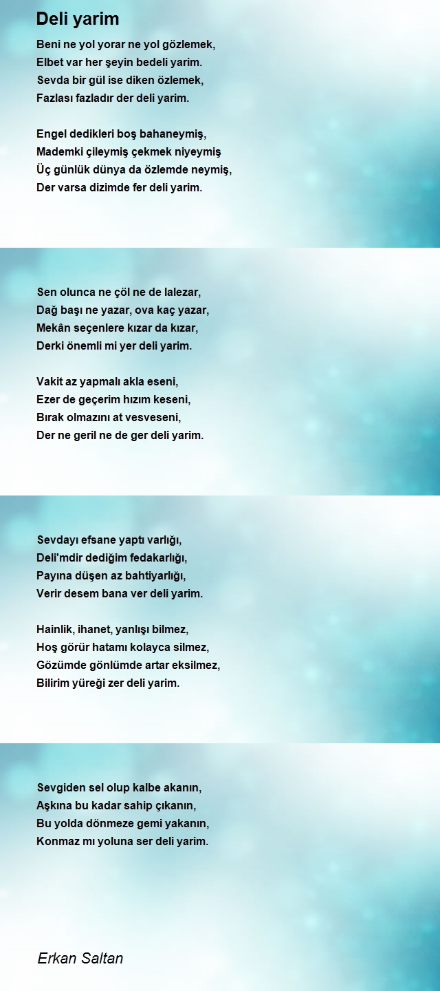 Erkan Saltan