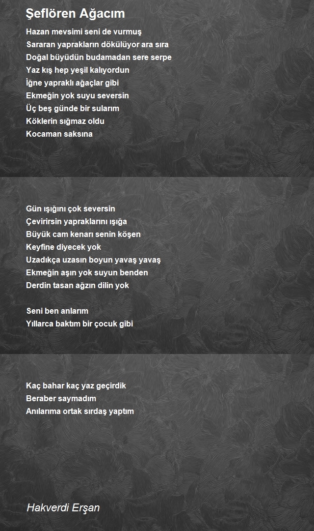 Hakverdi Erşan