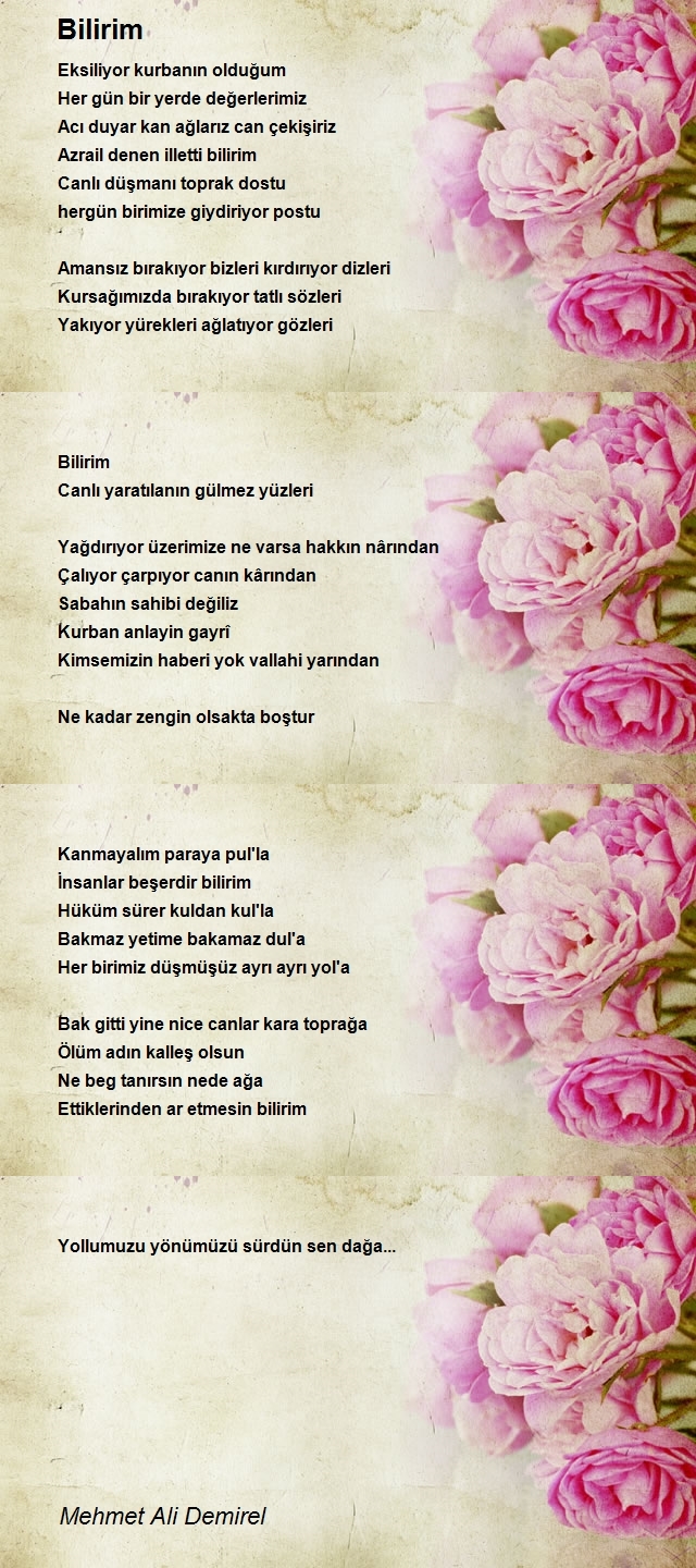 Mehmet Ali Demirel