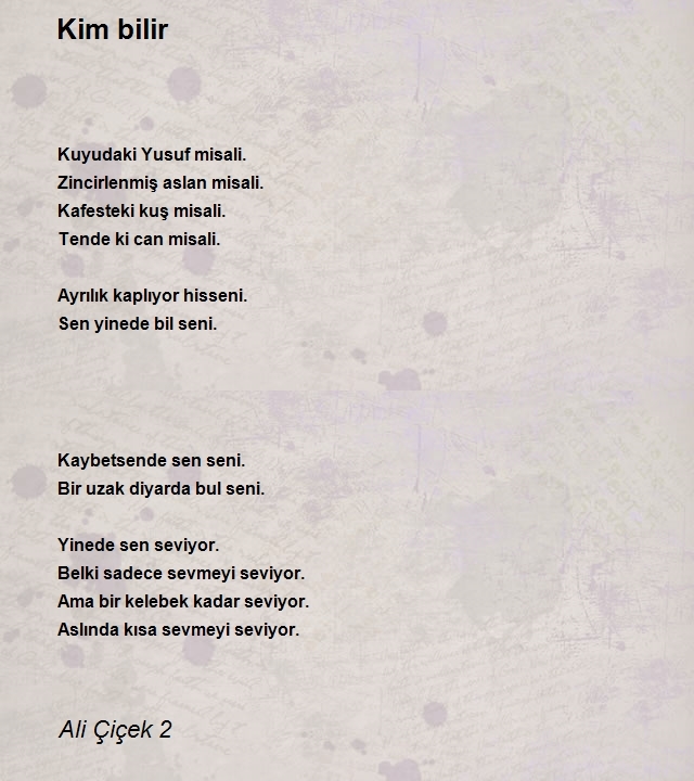Ali Çiçek 2