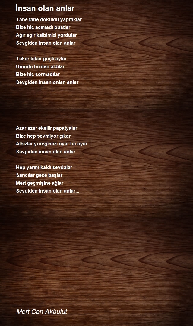 Mert Can Akbulut