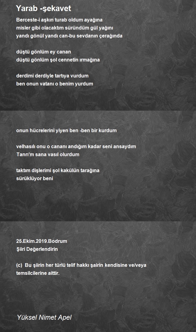 Yüksel Nimet Apel