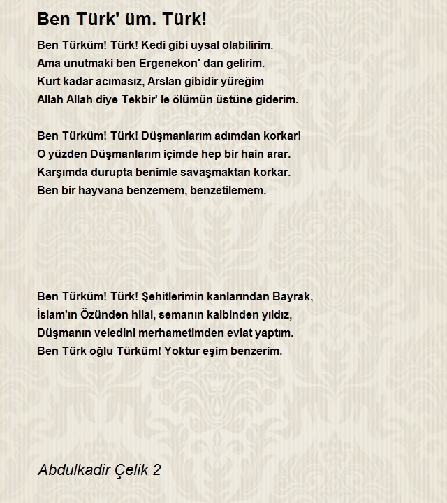 Abdulkadir Çelik 2
