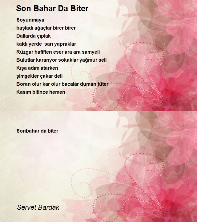 Servet Bardak