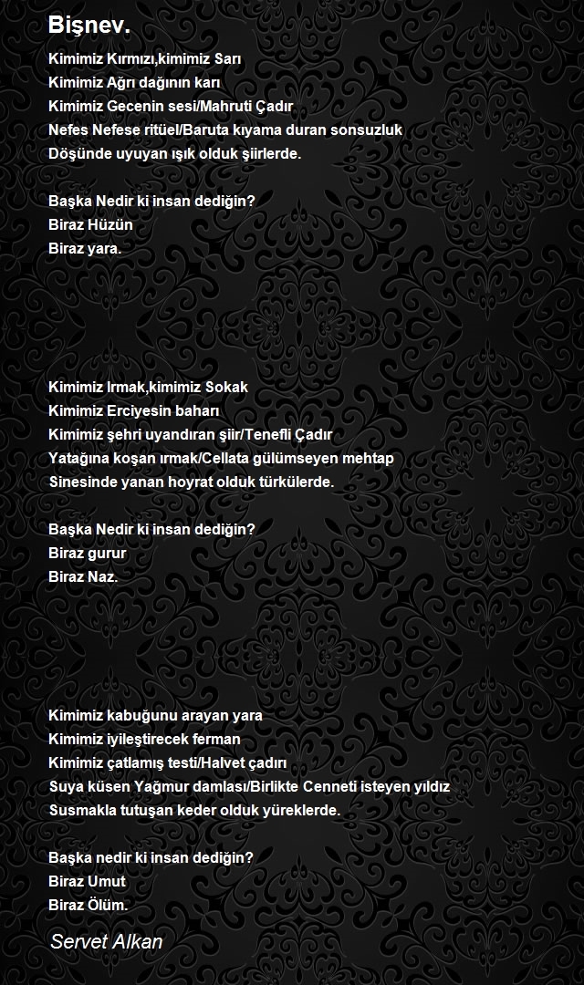 Servet Alkan