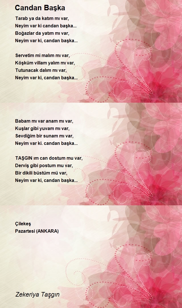 Zekeriya Taşgın