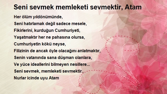 Emre Turgay