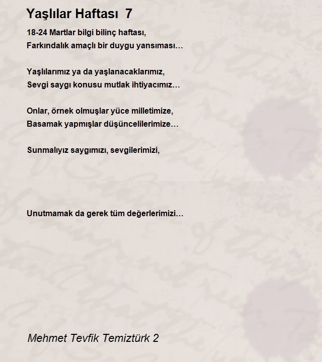 Mehmet Tevfik Temiztürk 2