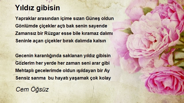 Cem Öğsüz