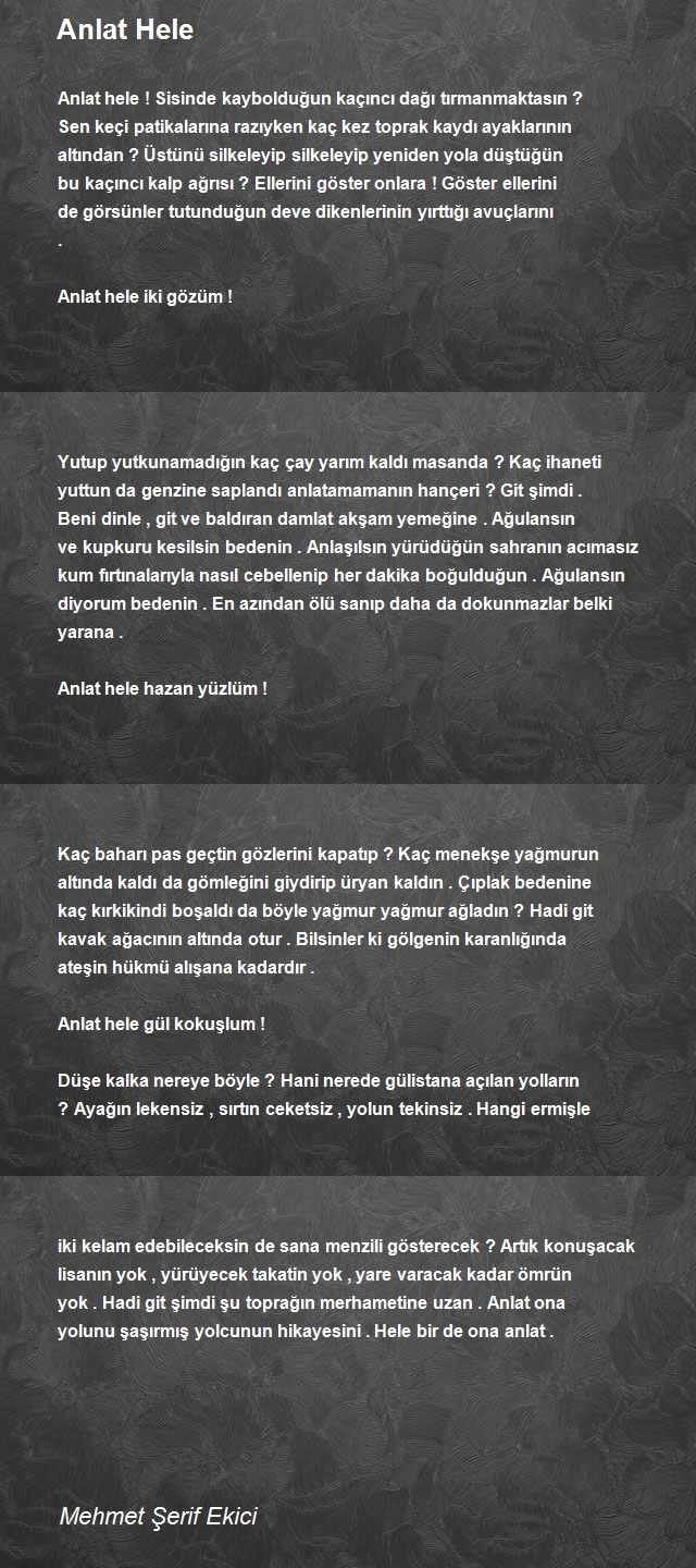 Mehmet Şerif Ekici