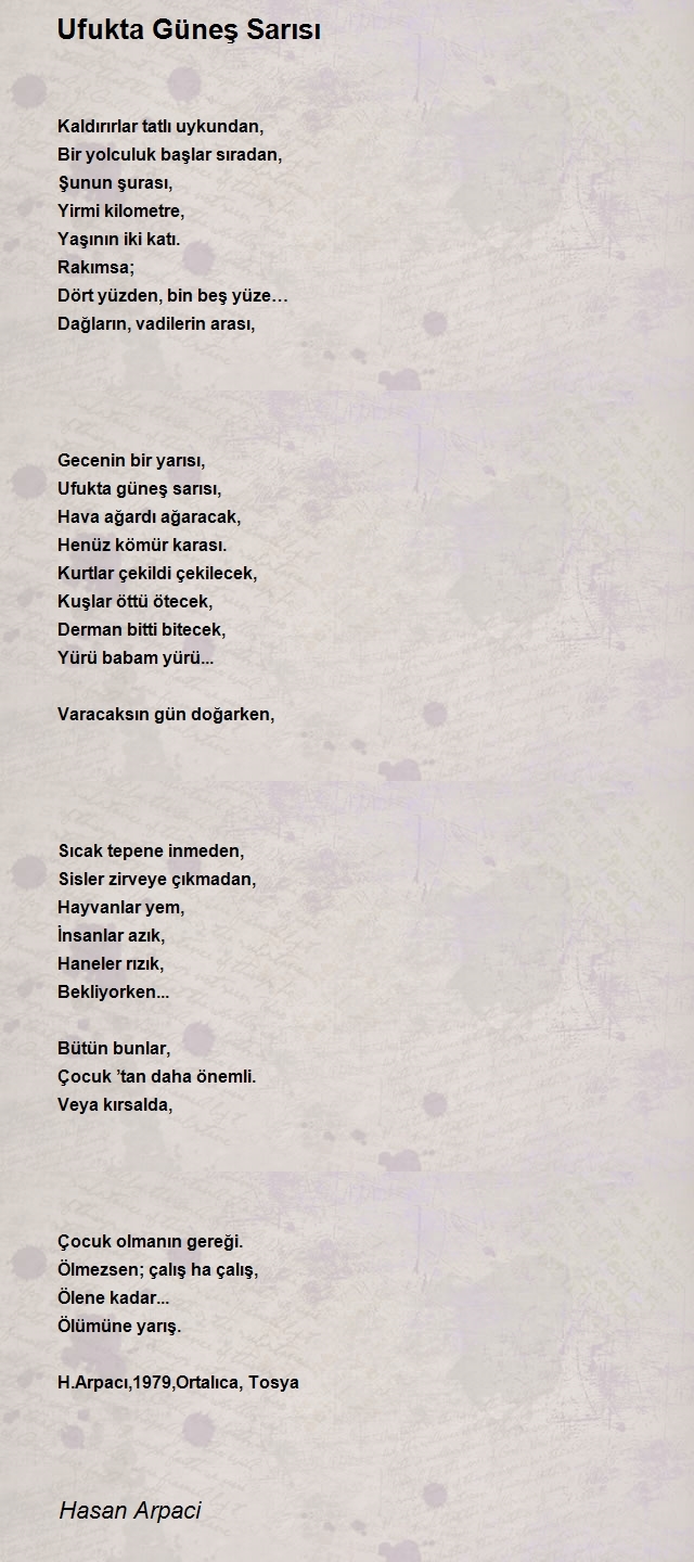 Hasan Arpaci