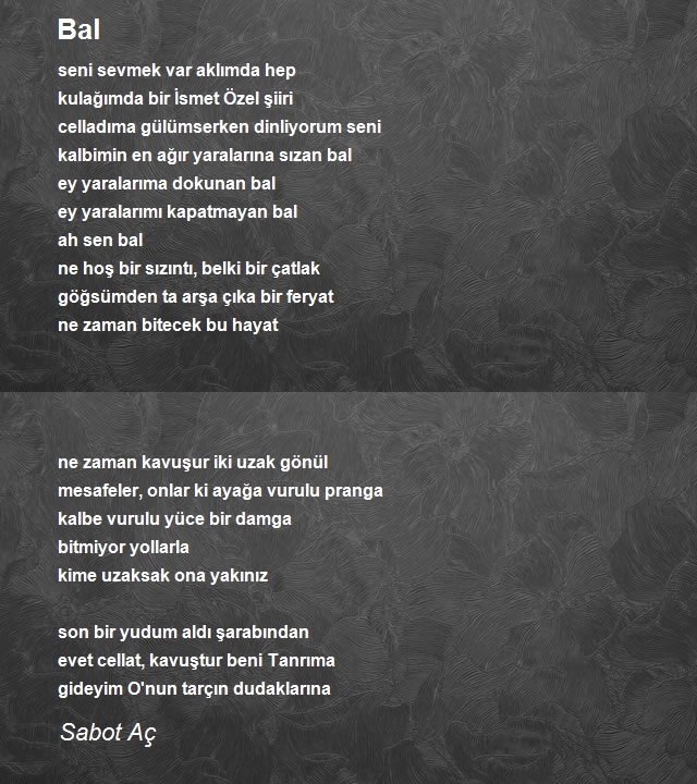 Sabot Aç
