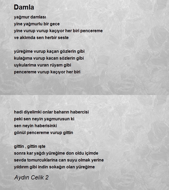 Aydın Celik 2