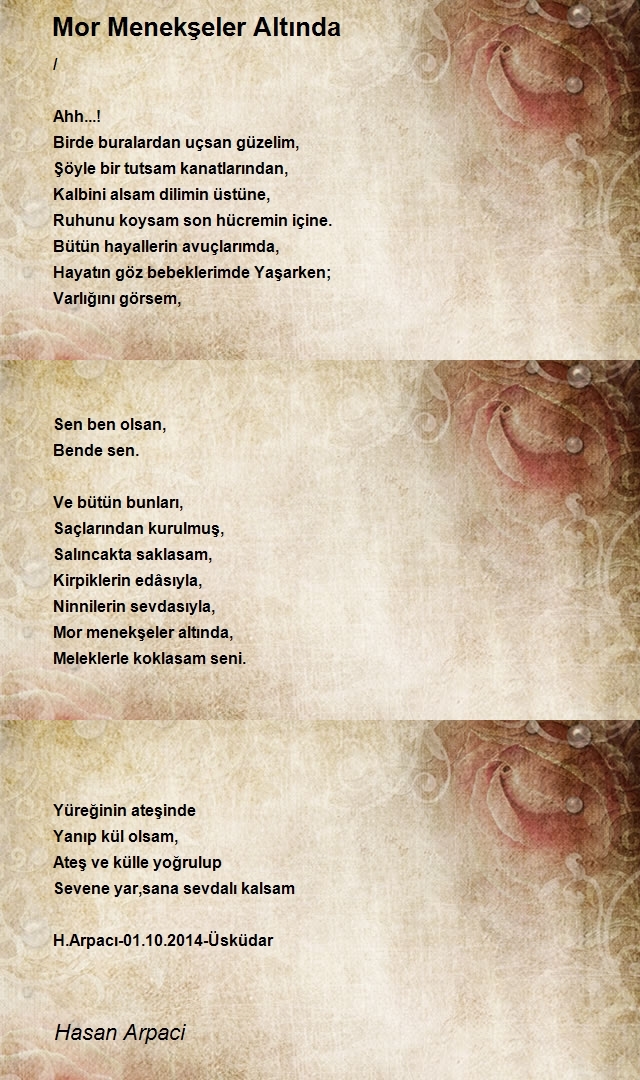 Hasan Arpaci