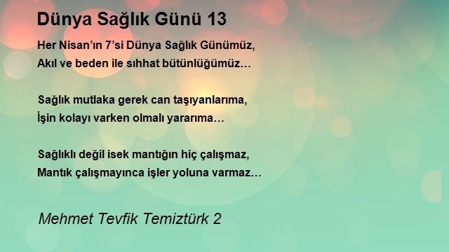 Mehmet Tevfik Temiztürk 2