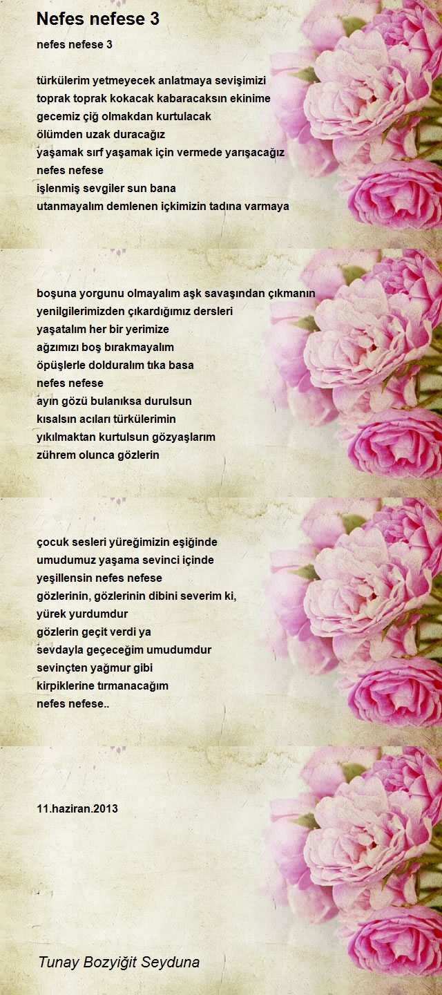 Tunay Bozyiğit Seyduna