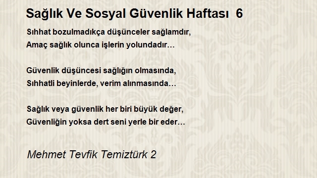 Mehmet Tevfik Temiztürk 2