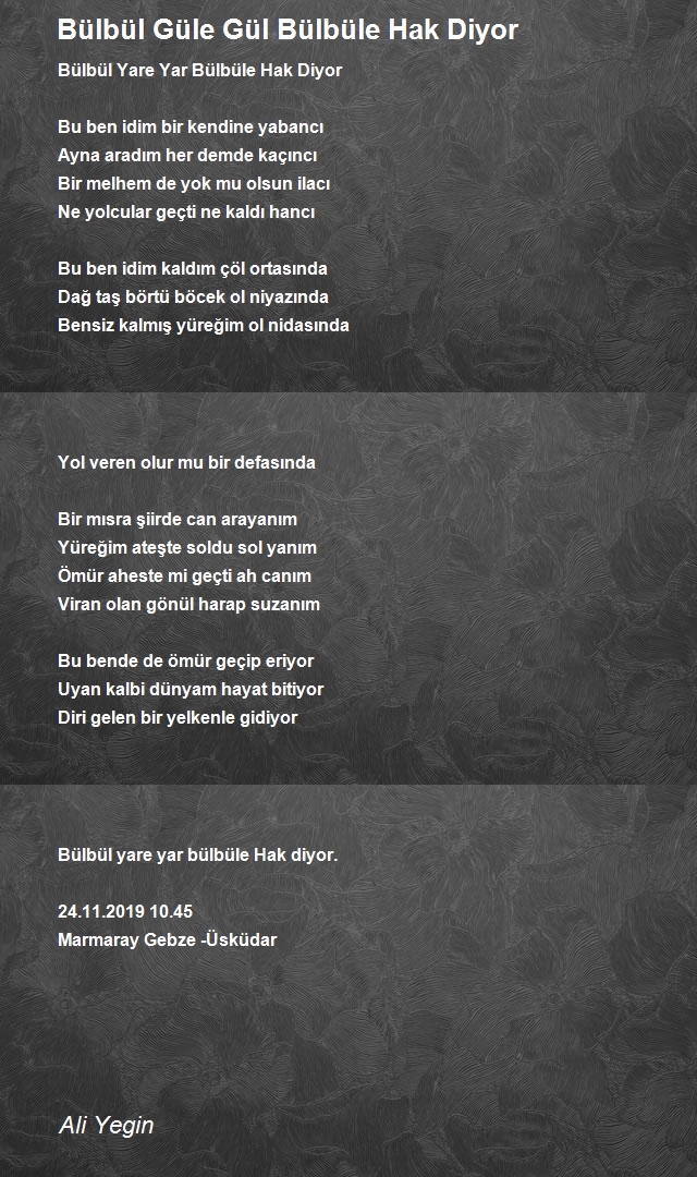 Ali Yegin