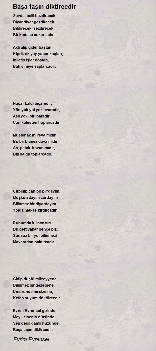 Evrim Evrensel