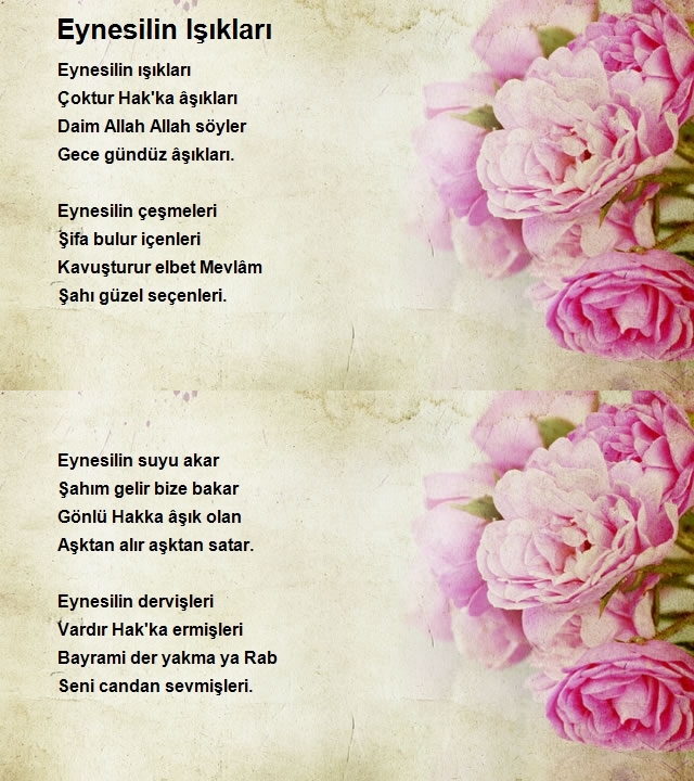 Ali Bayram 2