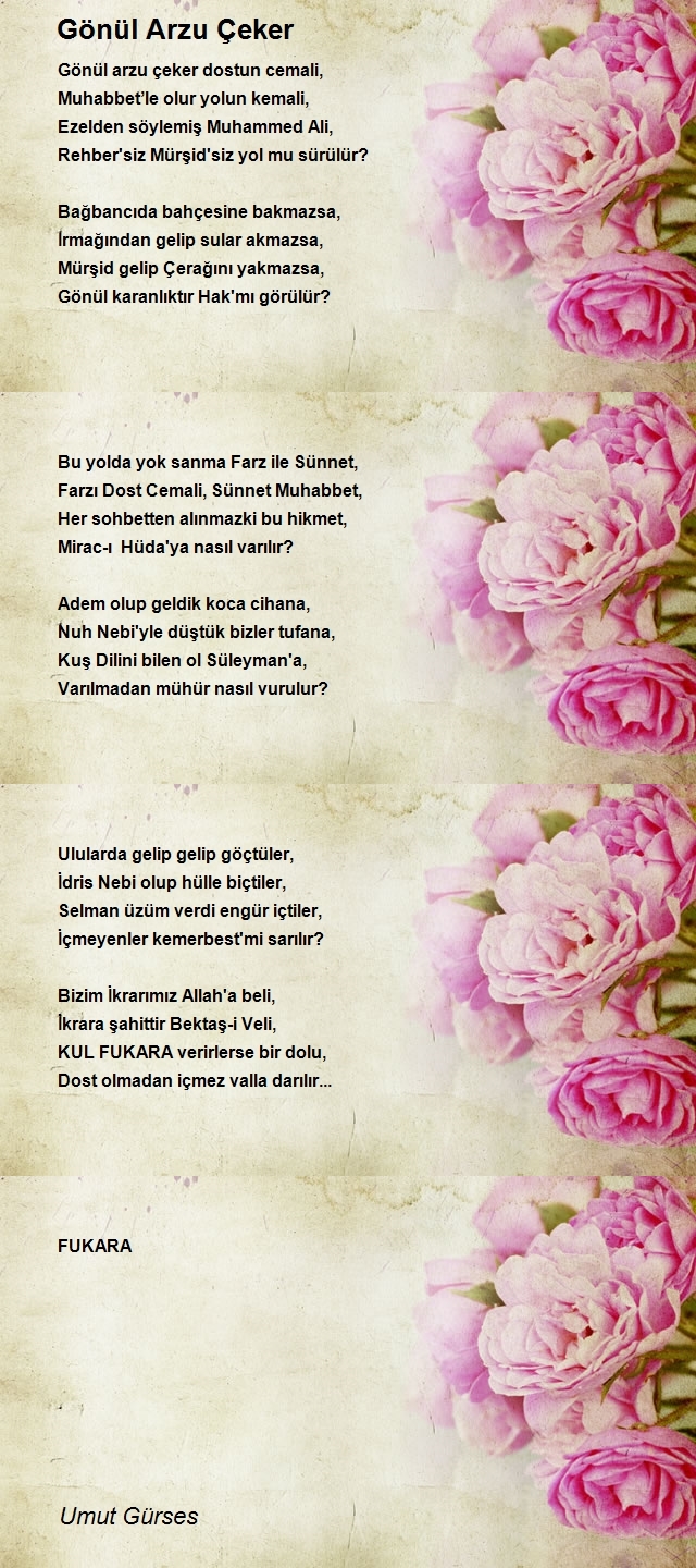 Umut Gürses