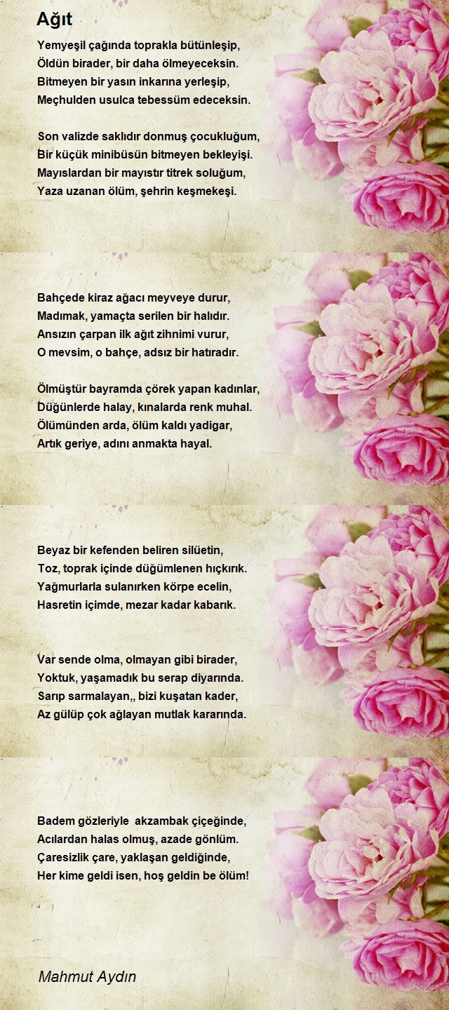 Mahmut Aydın