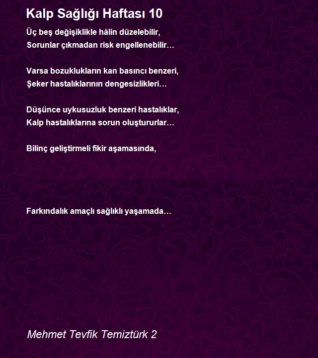 Mehmet Tevfik Temiztürk 2