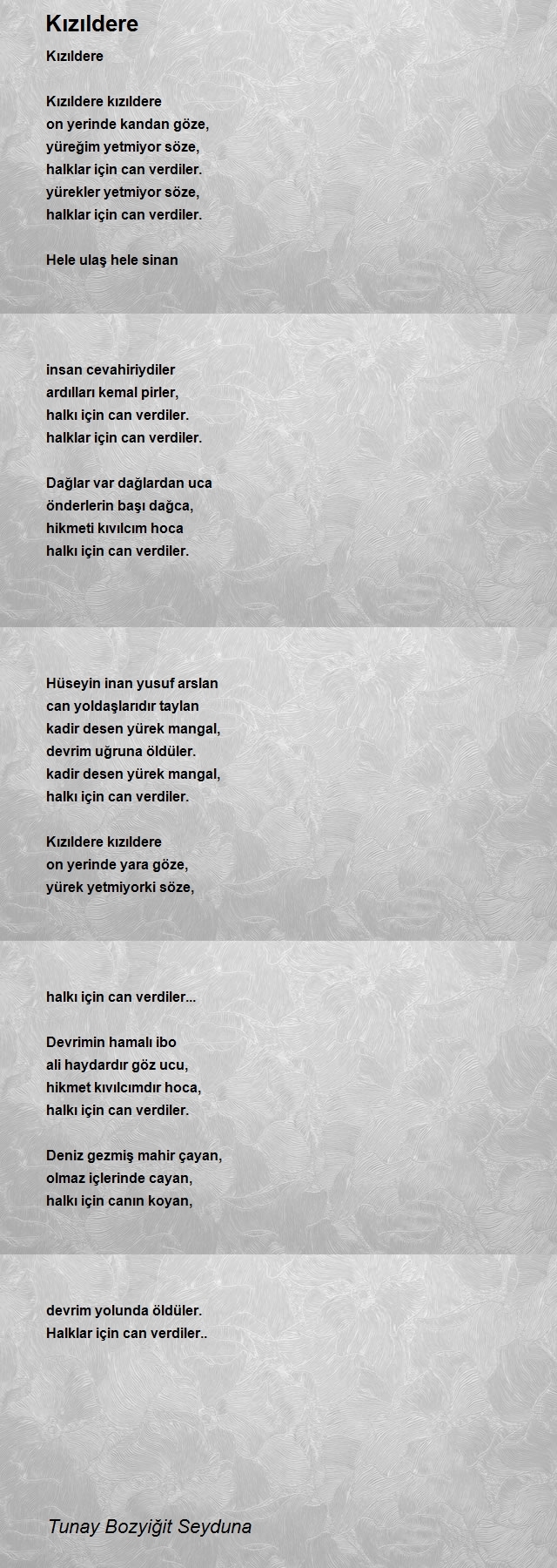 Tunay Bozyiğit Seyduna