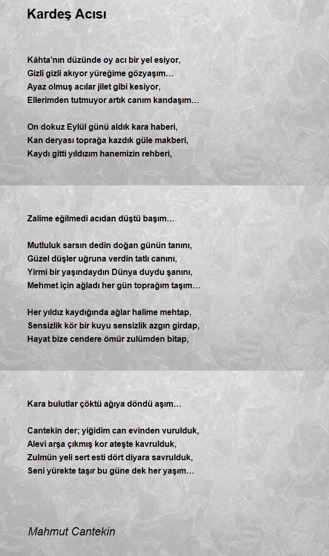 Mahmut Cantekin
