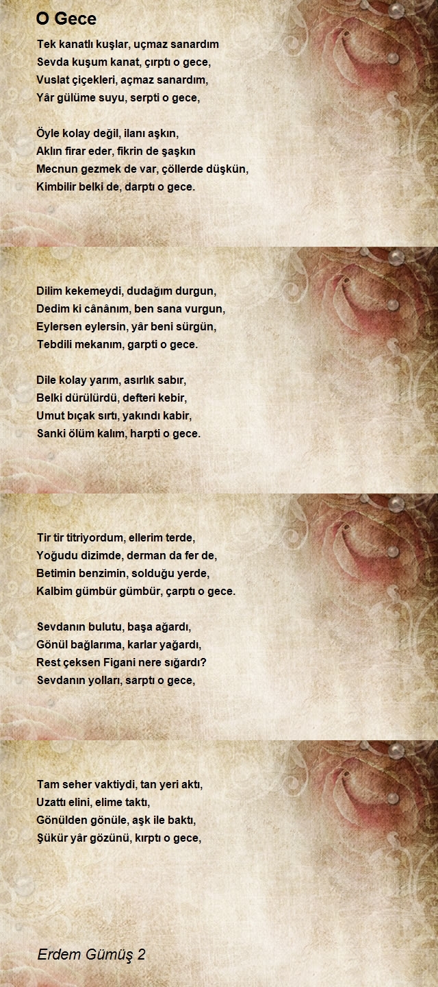 Erdem Gümüş 2