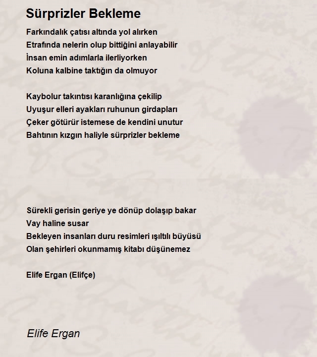 Elife Ergan