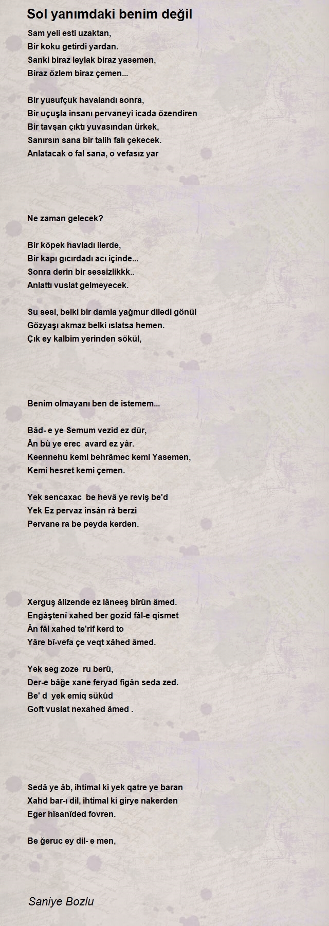 Saniye Bozlu