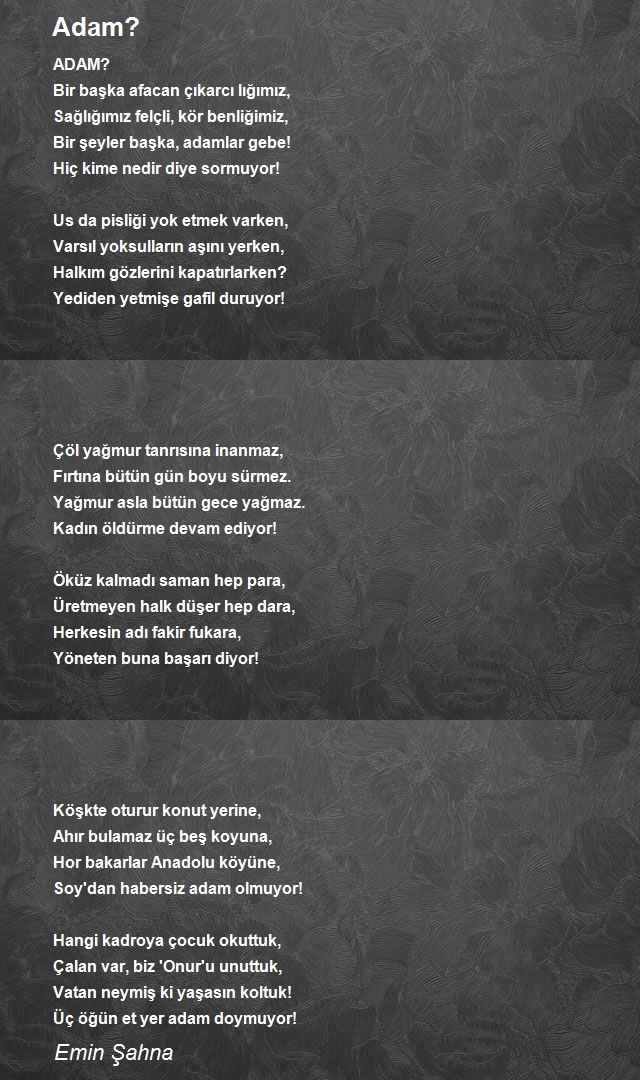 Emin Şahna